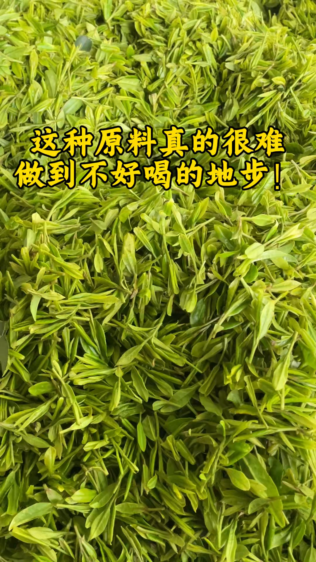 做松阳香茶龙井43,我们是认真的。