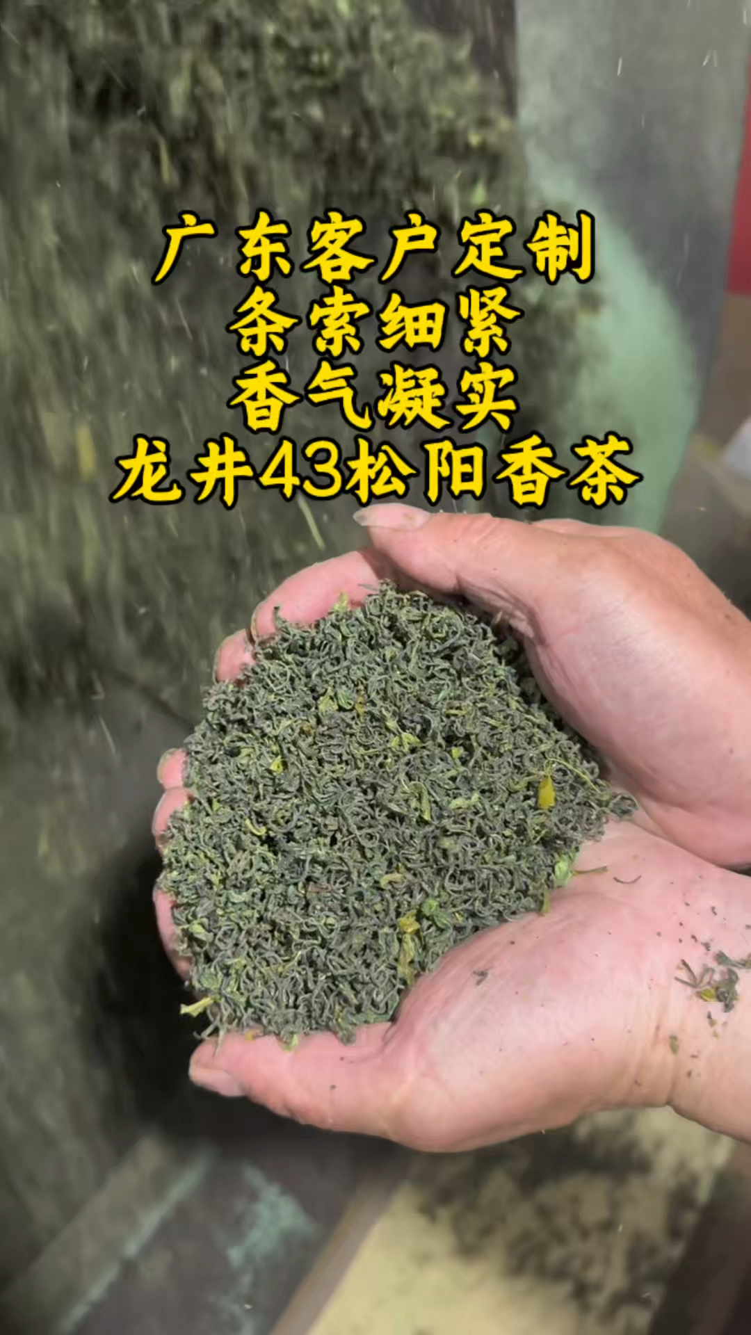 纯料高山龙井43松阳香茶炒青绿茶，又称云雾绿茶，好喝不贵！