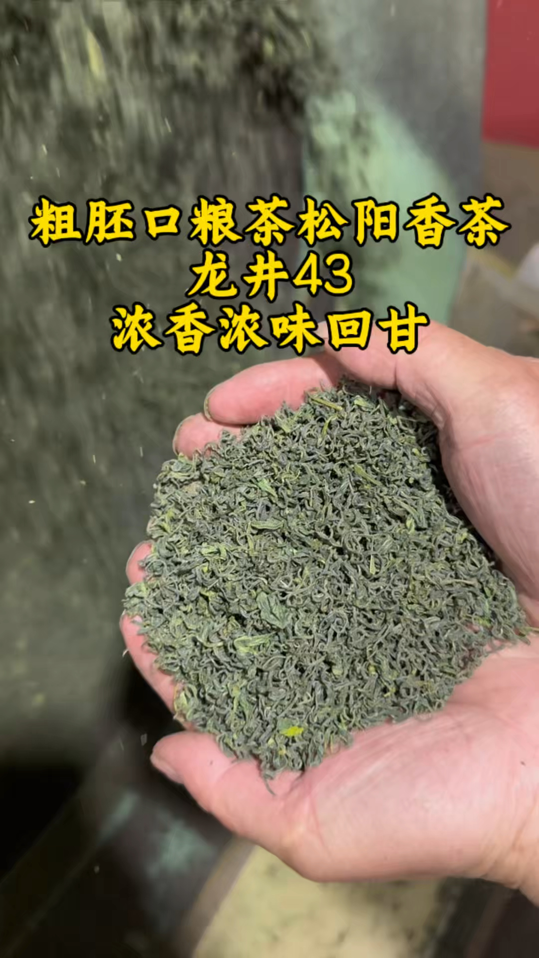 口粮松阳香茶炒青绿茶,纯料龙井43,不浓不香来骂!