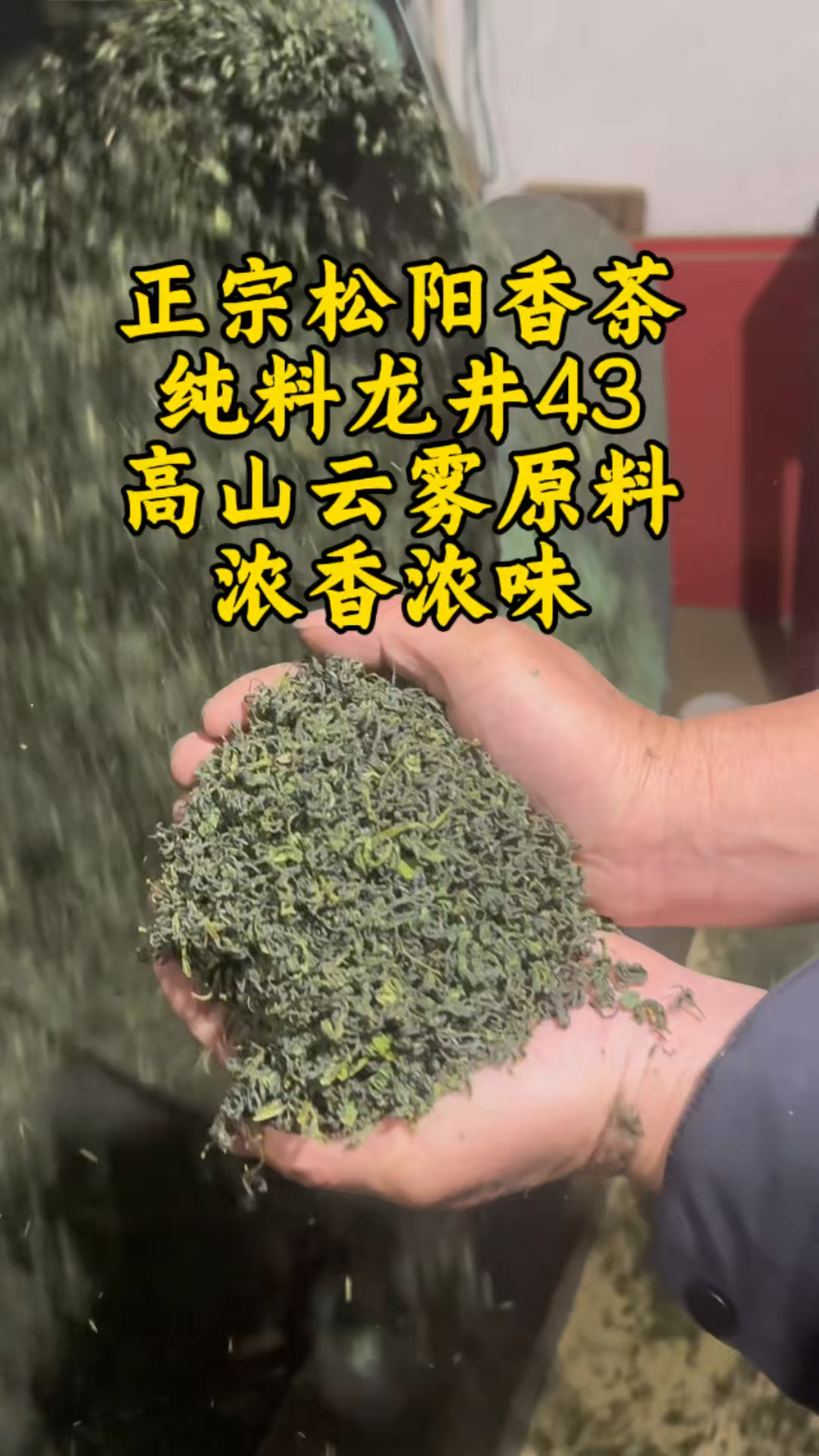东西好不好?喝了才知道,自产自销龙井43松阳香茶炒青绿茶!