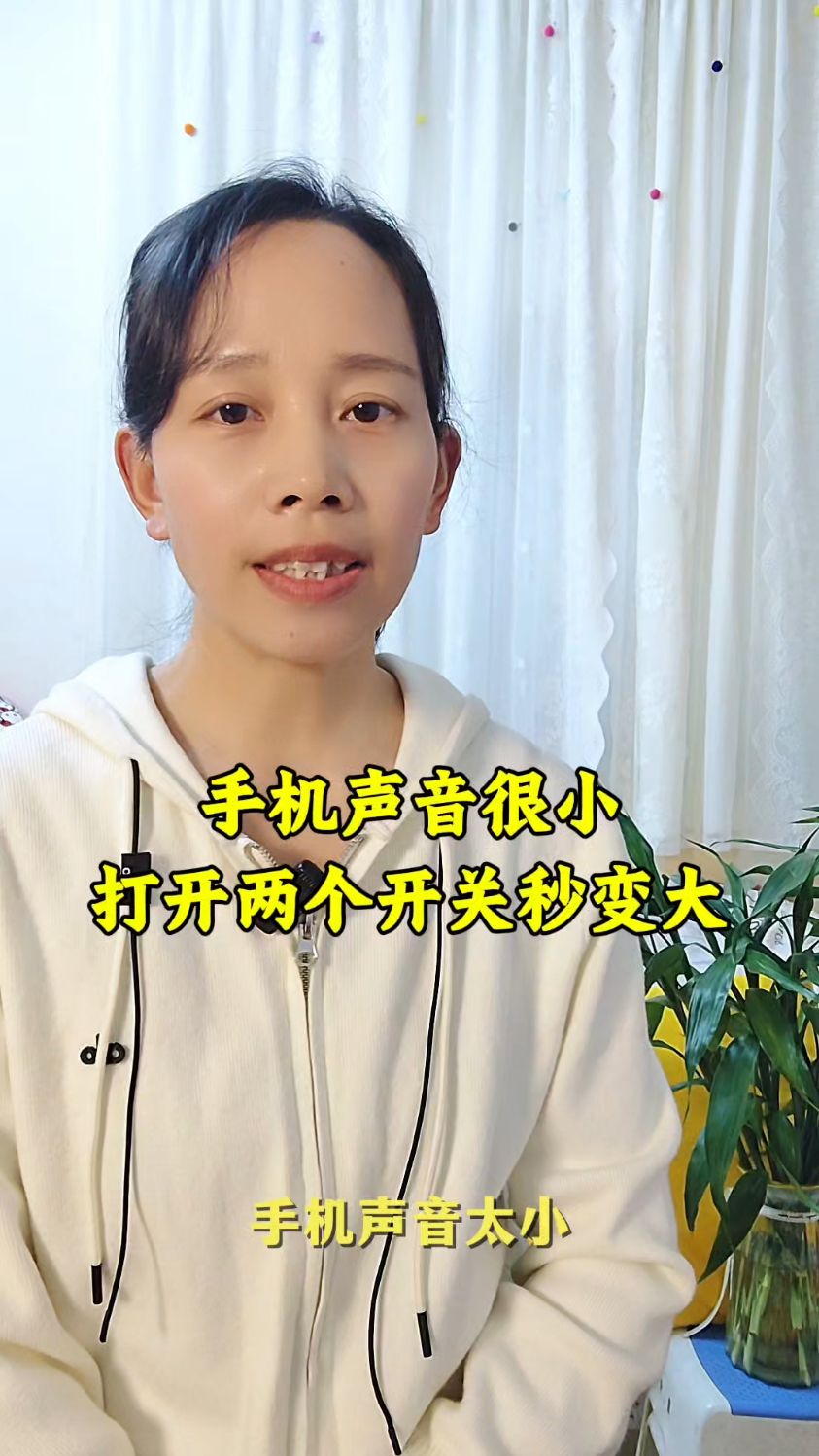 手机声音很小,打开两个开关秒变大