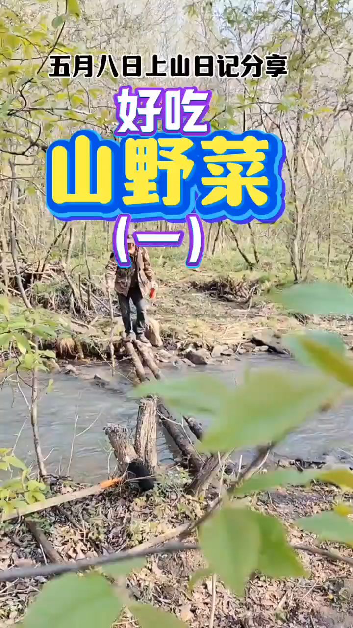 这些山菜你认识几种呢?
