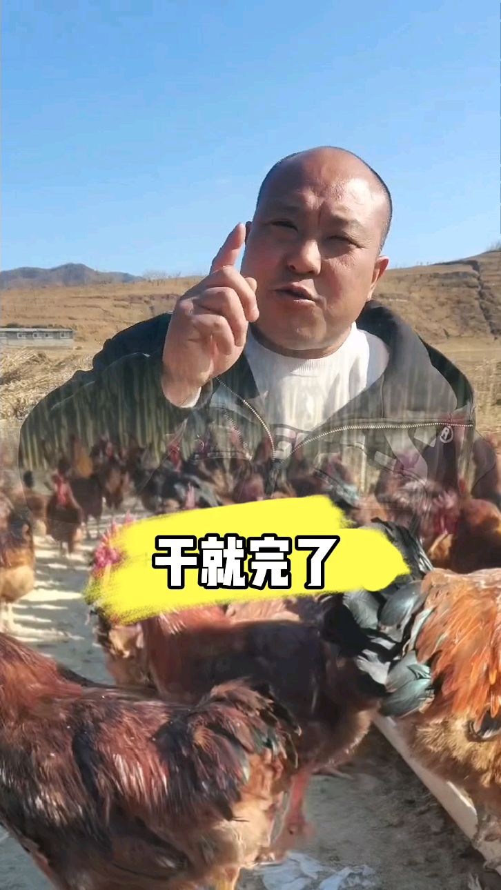 溜达鸡土鸡蛋哈哈