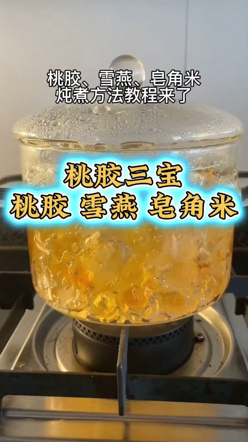 集美们都喜爱的桃胶三宝炖煮方法它来喽
