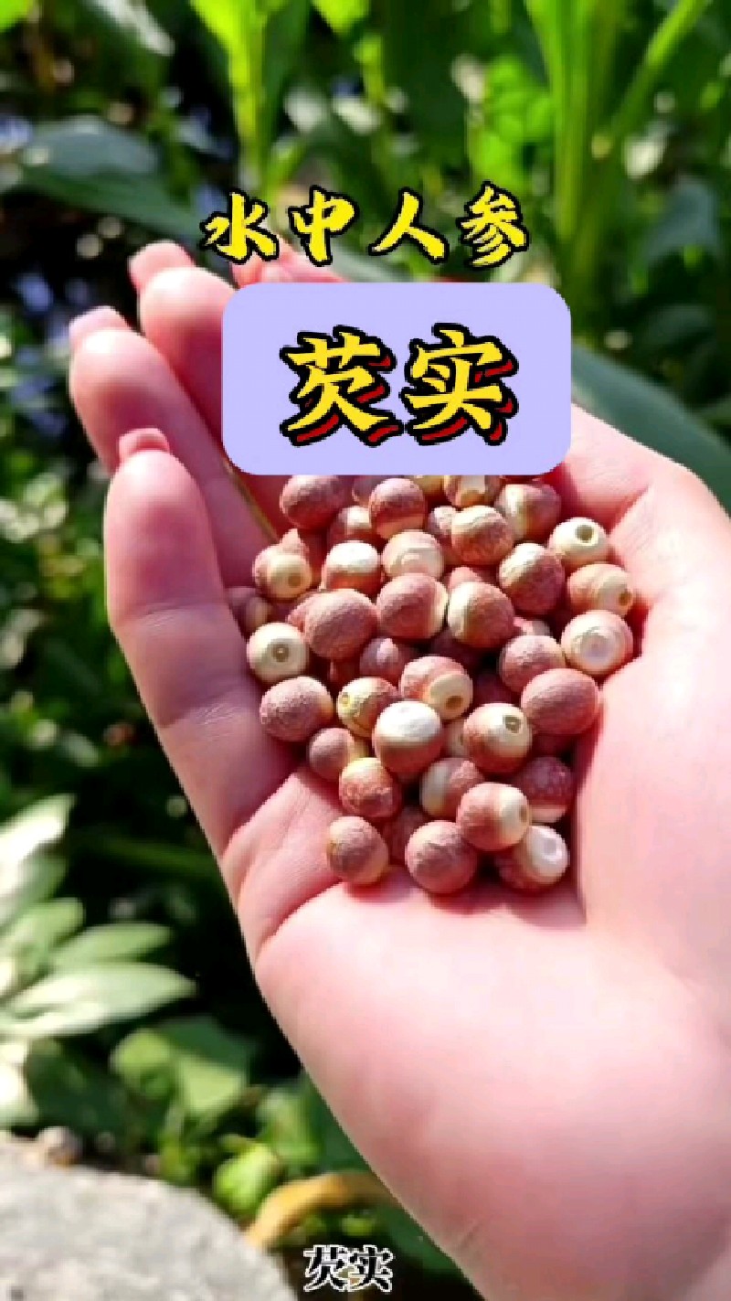 芡实俗称鸡头米,煲汤炖羹可是个好搭配