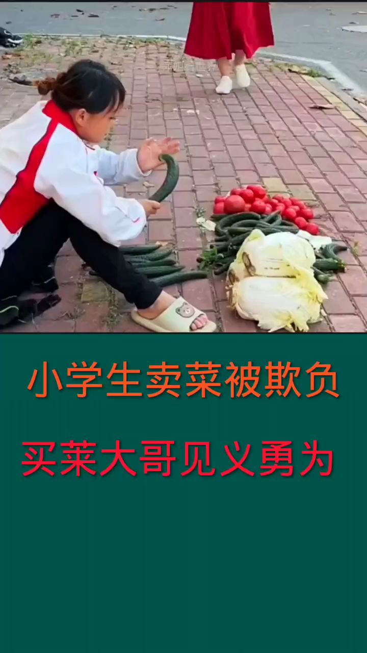 小学生卖菜被欺负,买菜大哥见义勇为。