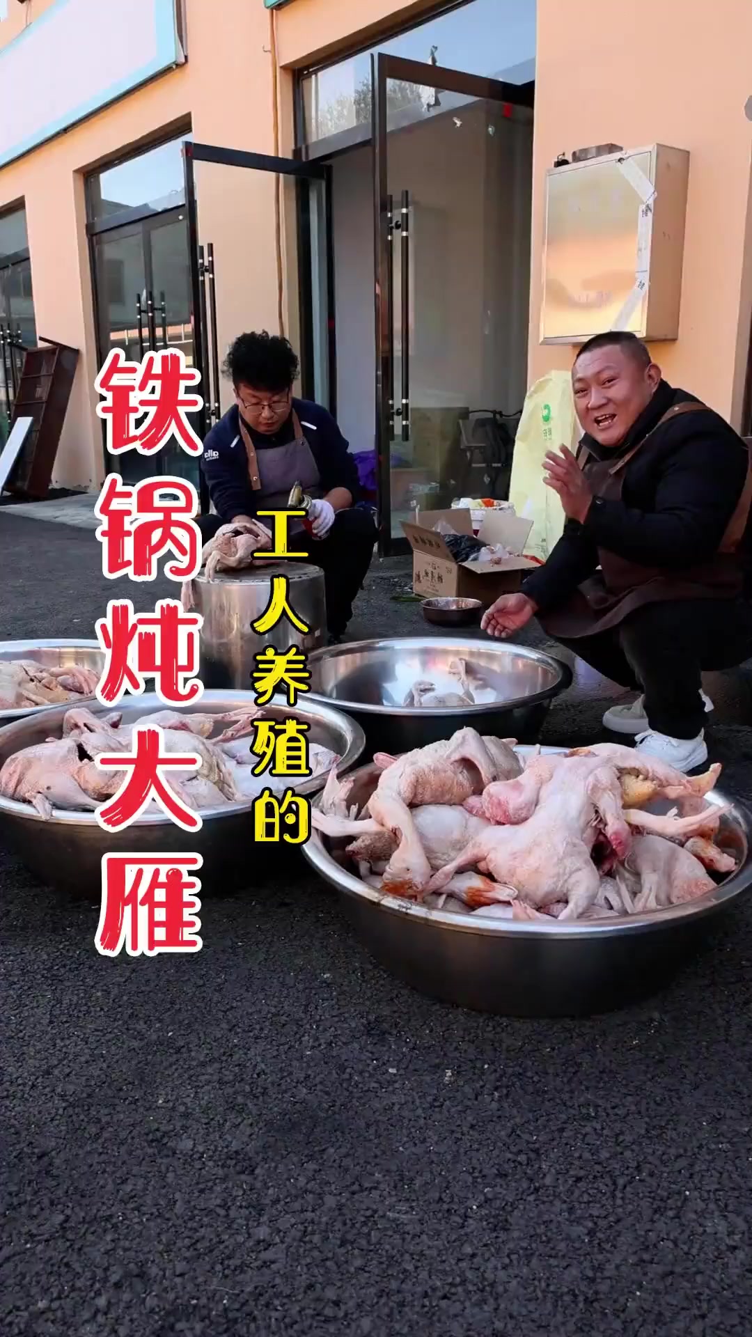 大家吃过大雁肉吗,今天到曲沃红嘴雁养殖农场,弄了30只大雁,出摊给大家尝尝雁肉味