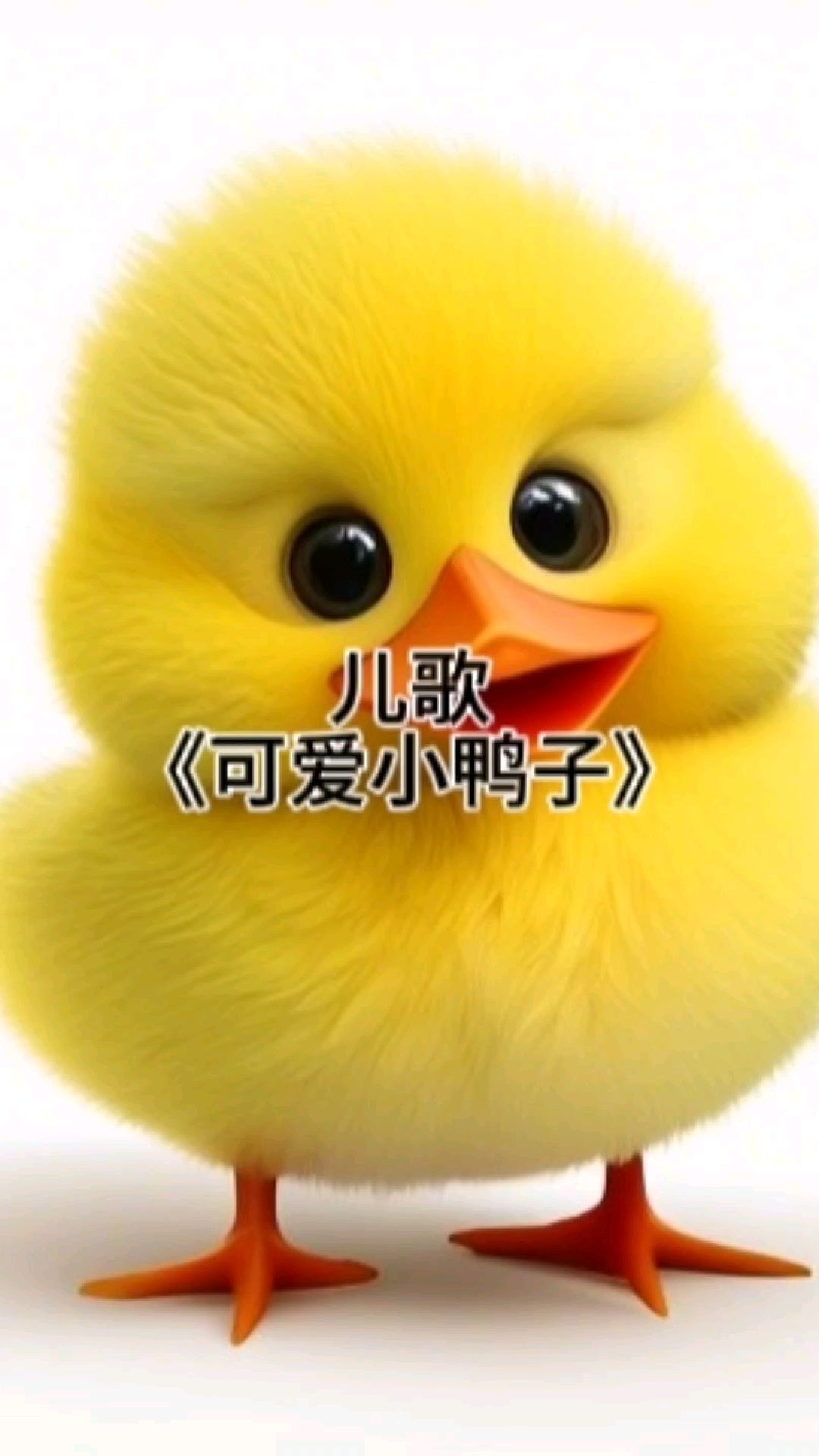 儿歌《可爱小鸭子》
