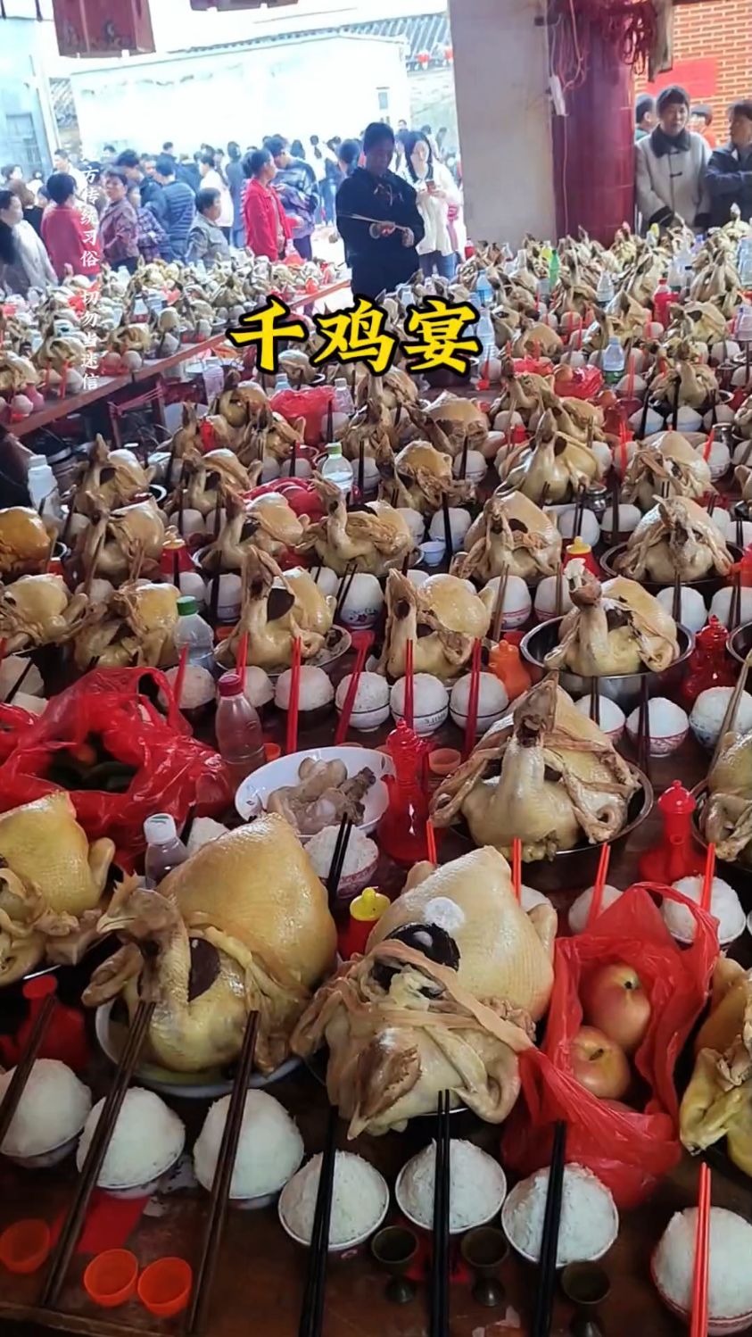 千鸡宴,场面非常的壮观!