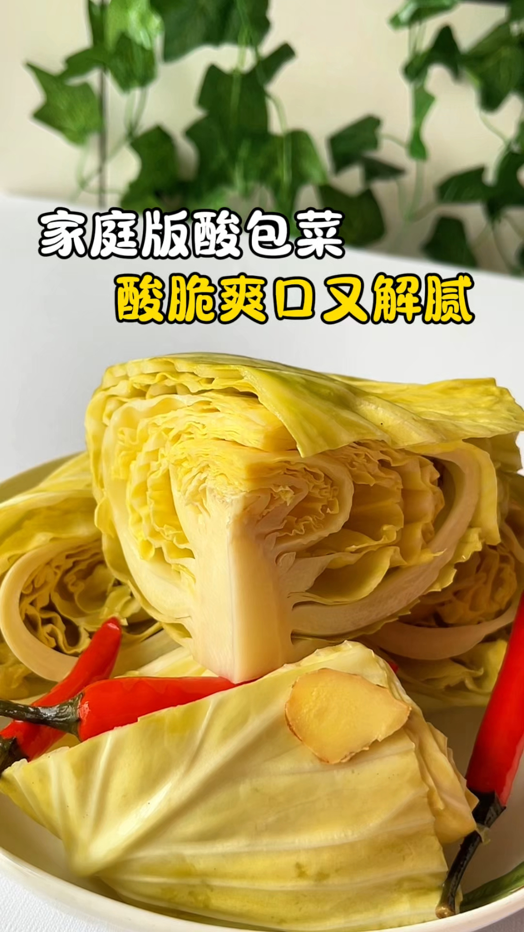 只用开水烫一下,放一晚上就能吃到的腌包菜,色泽金黄巨下饭