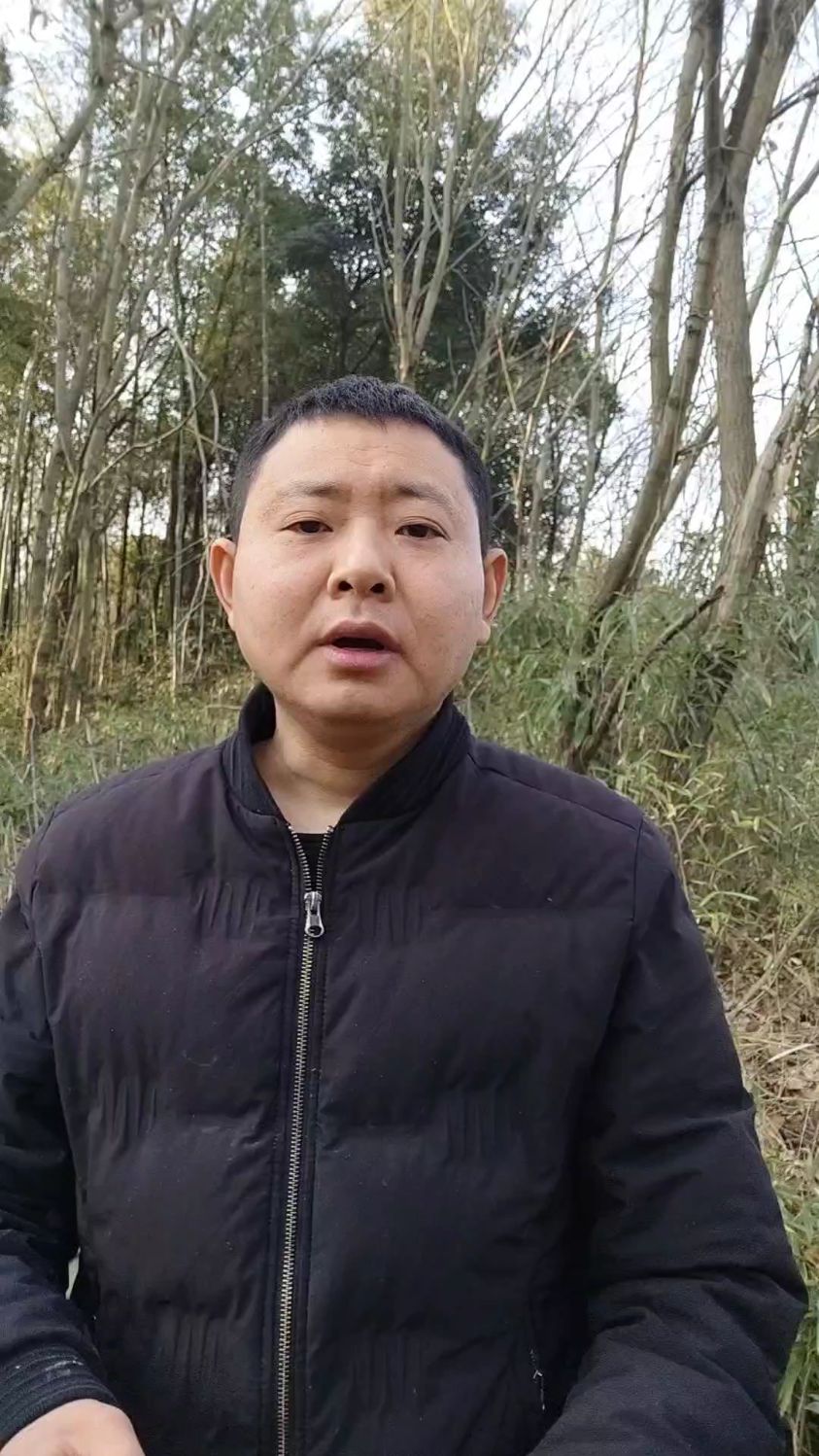 油菜花还要多久开花