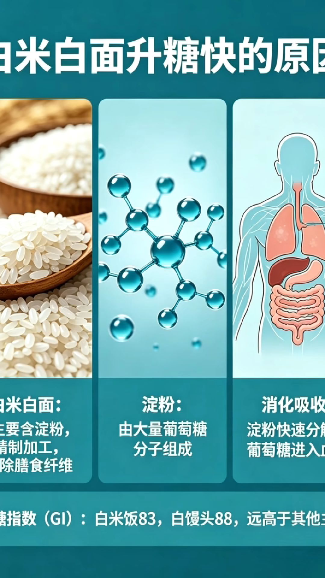 营养师蔡老师：为啥白米白面升糖快#新大陆计划##科学控糖餐盘# #黄金搭配稳血糖##减脂饮