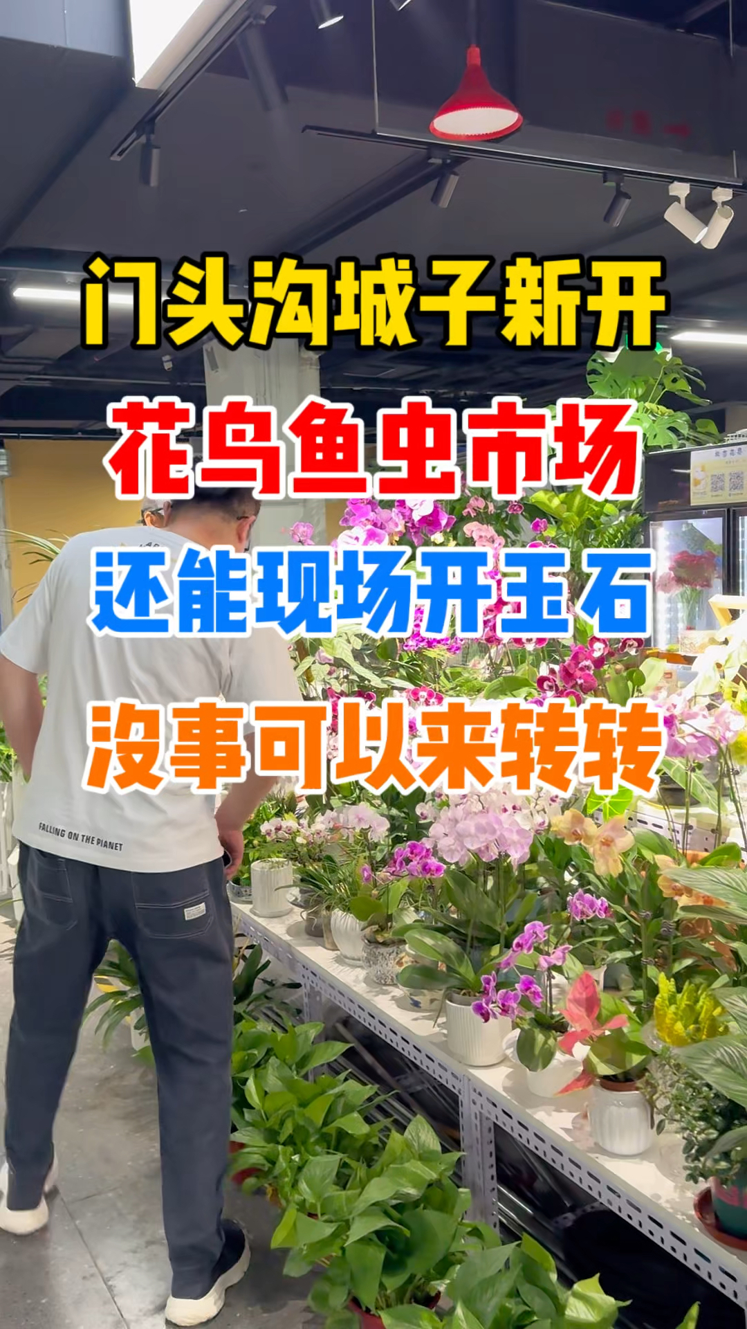 发现！门头沟新开花鸟鱼虫，好玩的东西不少！