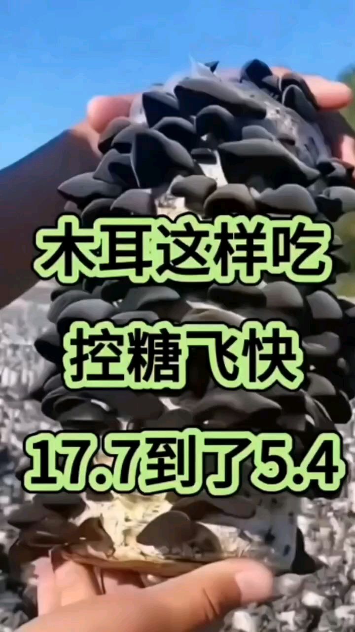 控糖饮食计划点赞收藏抱回家