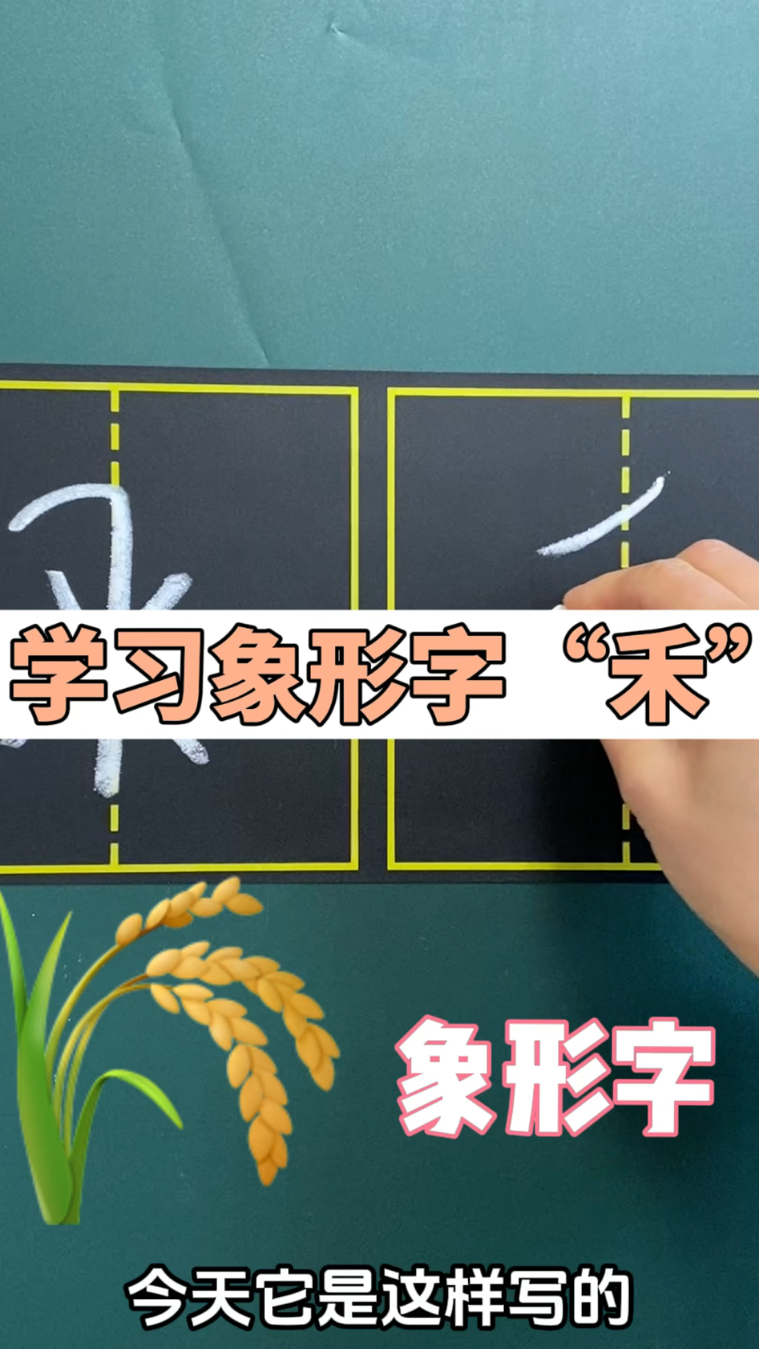 了解汉字“禾”的演变,感受文字的趣味性