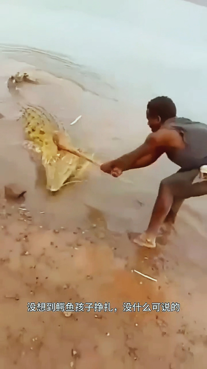 当鳄鱼遇到黑人小哥,下场好惨啊!