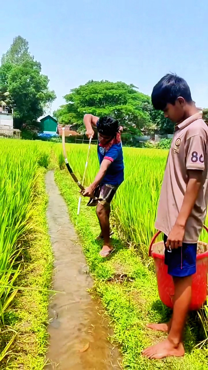 印度阿三用弓箭射鱼,别说射得还真准!