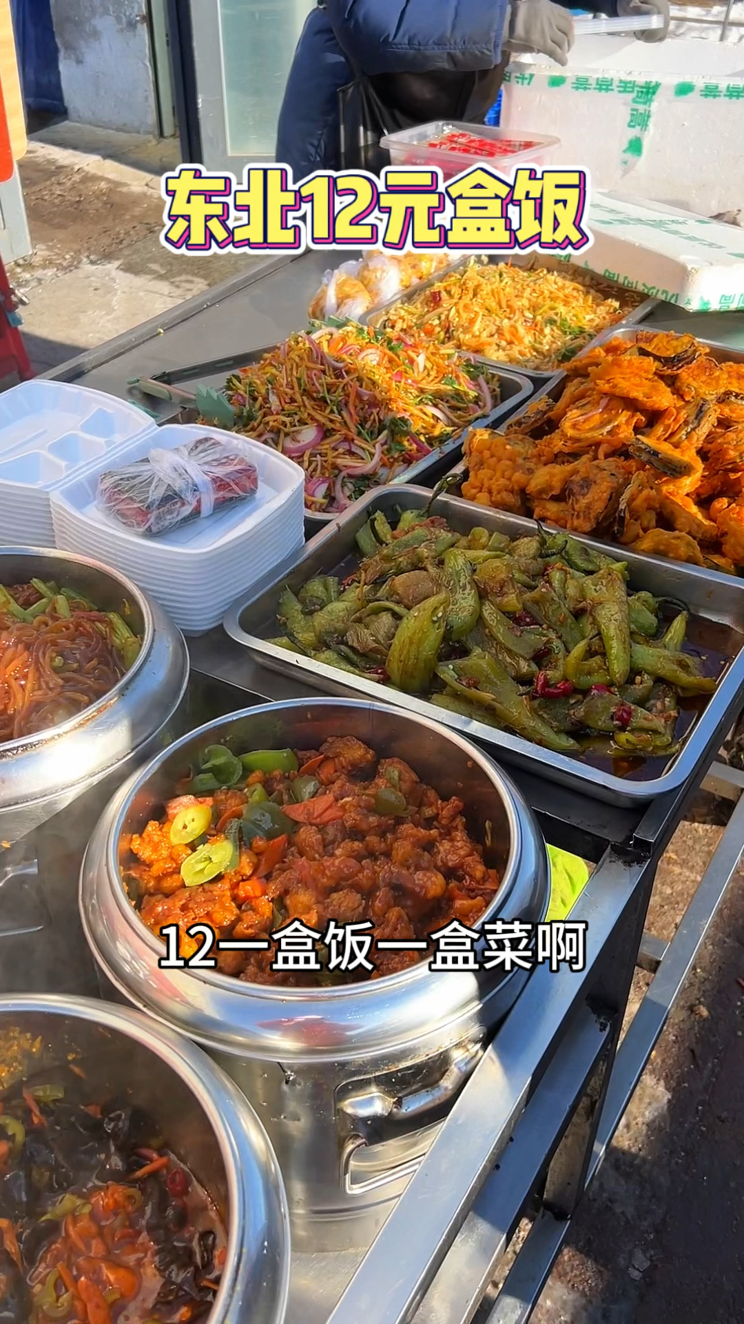 东北街头12元盒饭,好几种肉菜随便吃,你们觉得值不值?