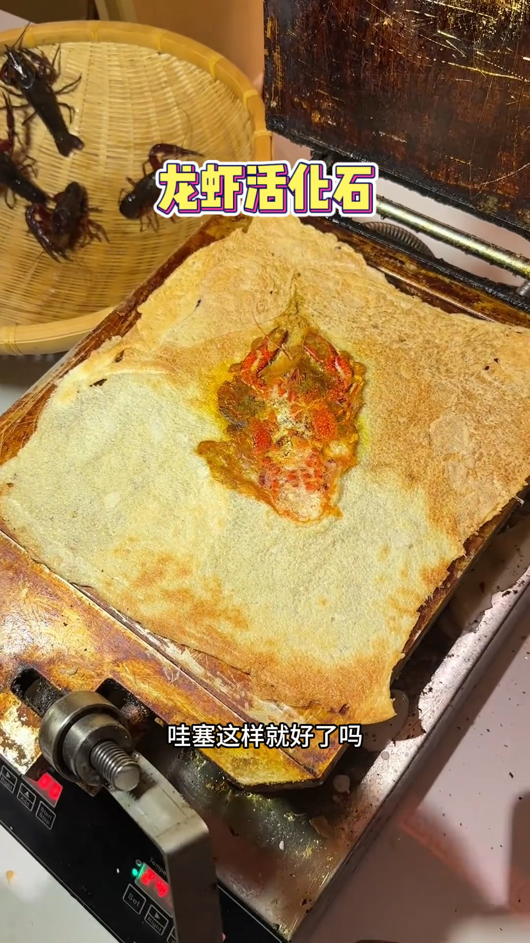 小龙虾活化石!小龙虾放上去的时候我小脑都萎缩了
