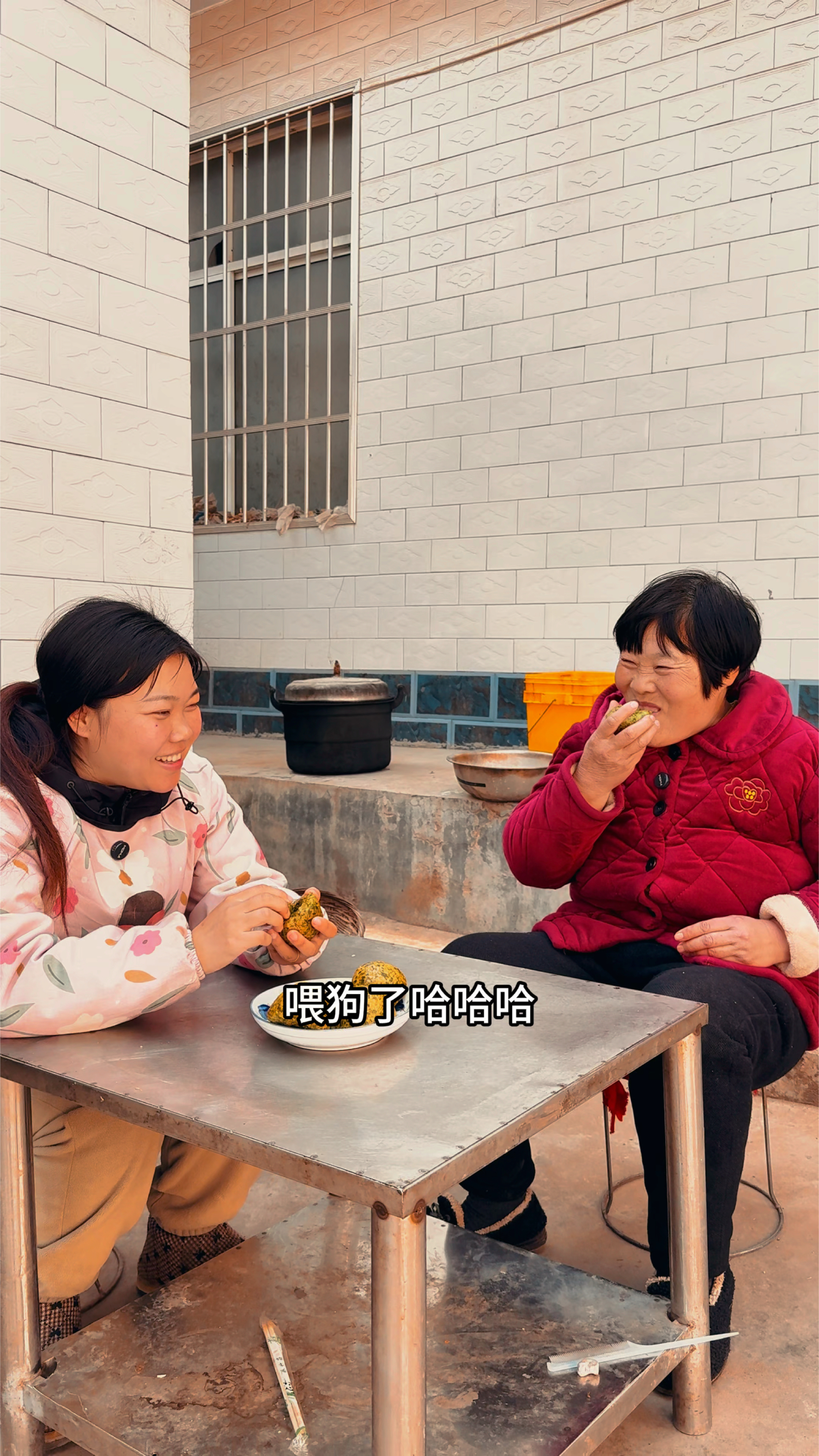 春天到了,又到了吃野菜的季节 #双王一家人 #我的乡村生活