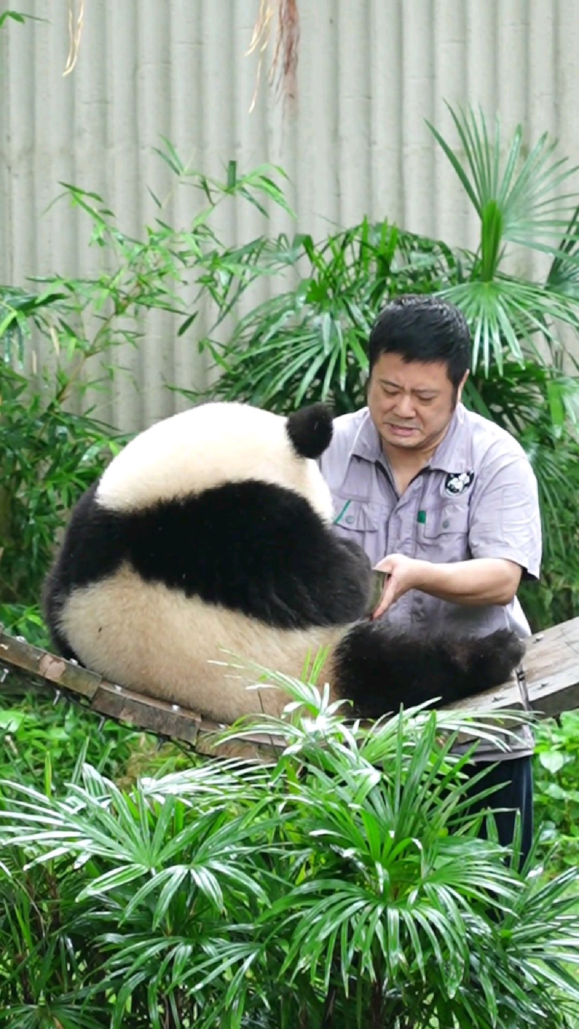 墩墩外公喂水 奇三妹弄洒了 墩墩又出表情包哈哈