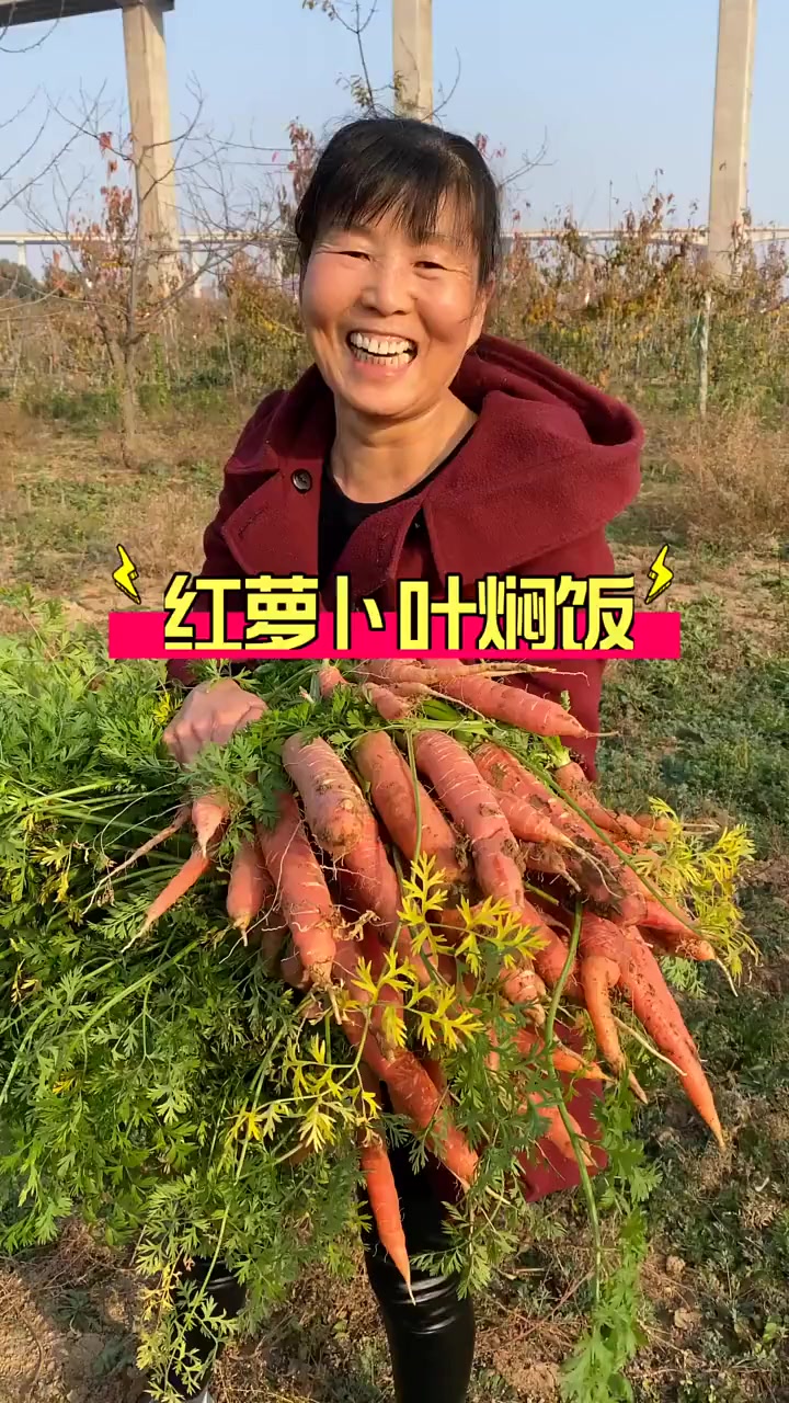 今做个红萝卜叶子焖饭!