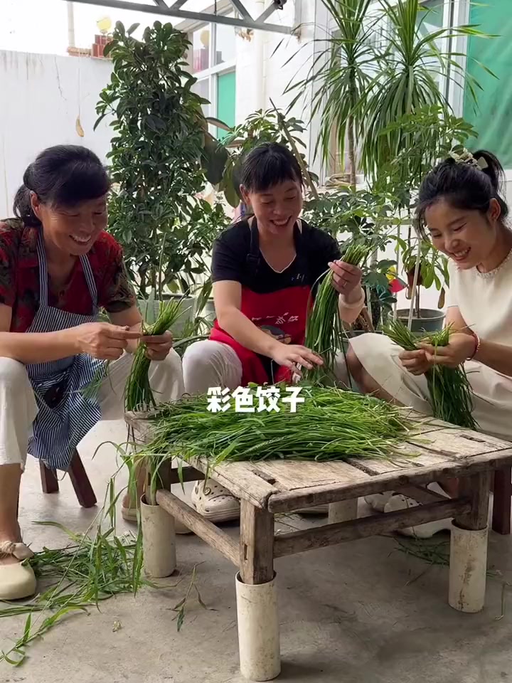 姑嫂团聚秘制七彩饺子惊艳全村！