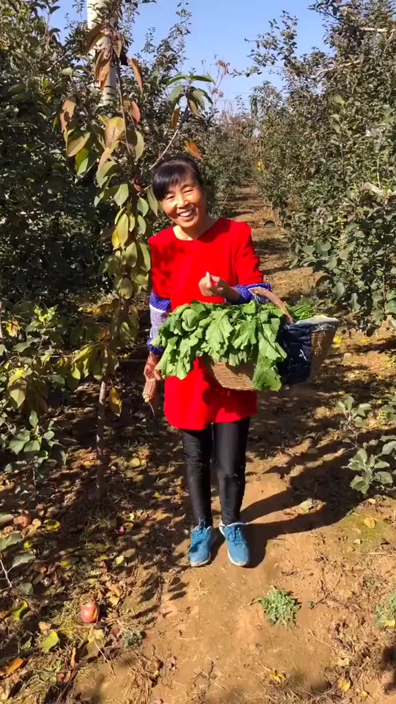 农村家庭版腌雪里红菜!