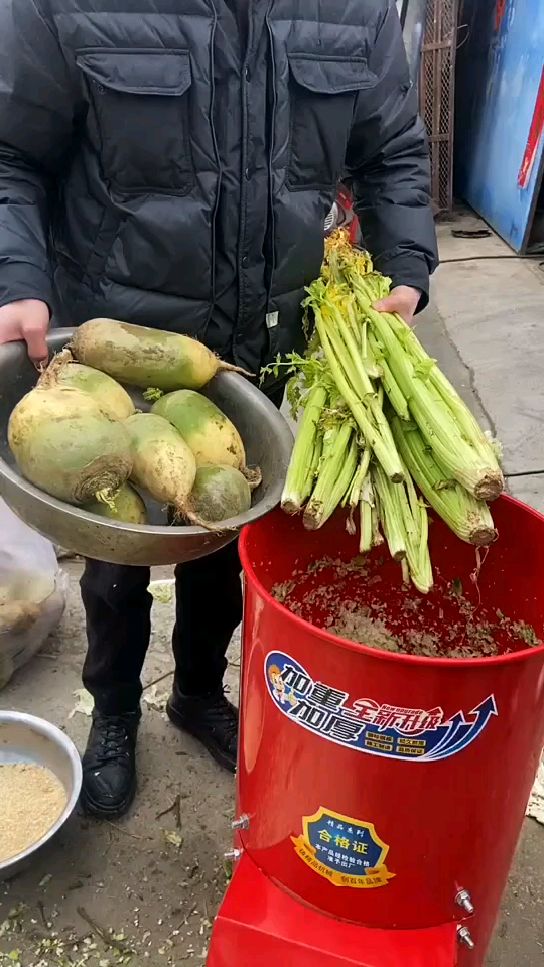 家用小型瓜果蔬菜切丝粉碎机
