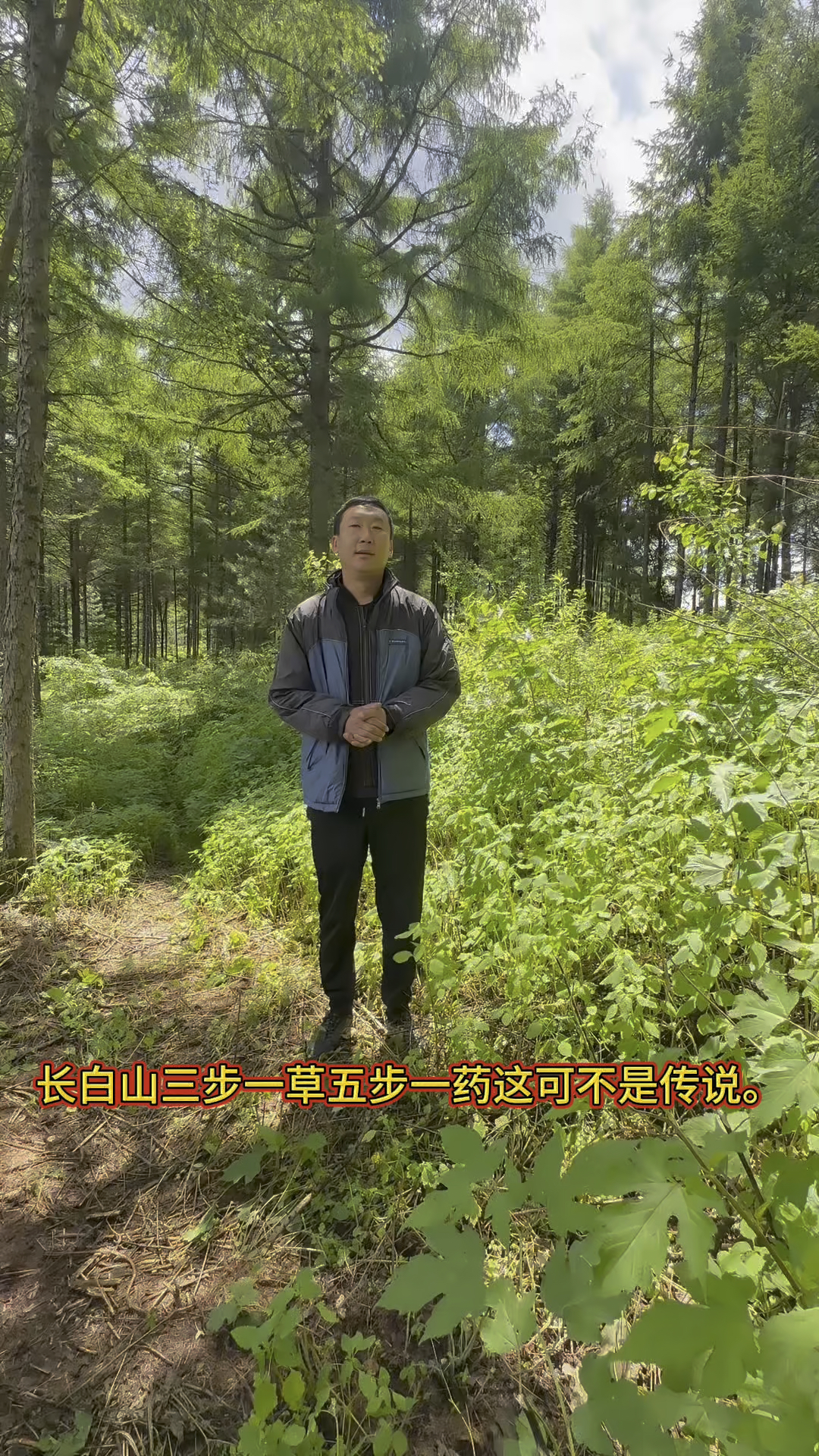 长白山三步一草五步一样,这不是传说但是不能乱吃,有的是有毒的