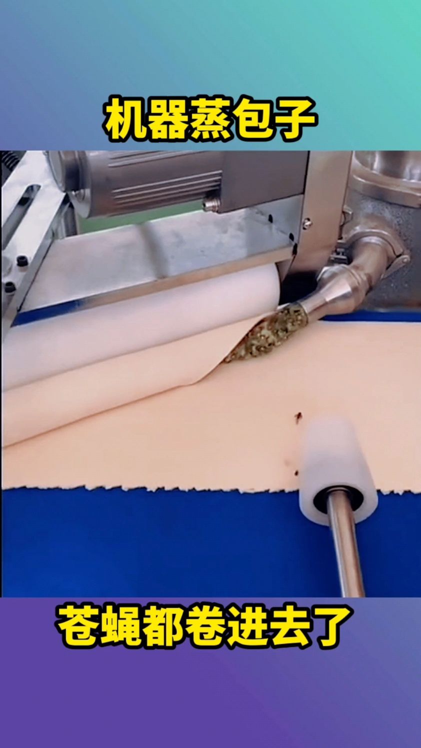 机器蒸包子,苍蝇都卷进去了!