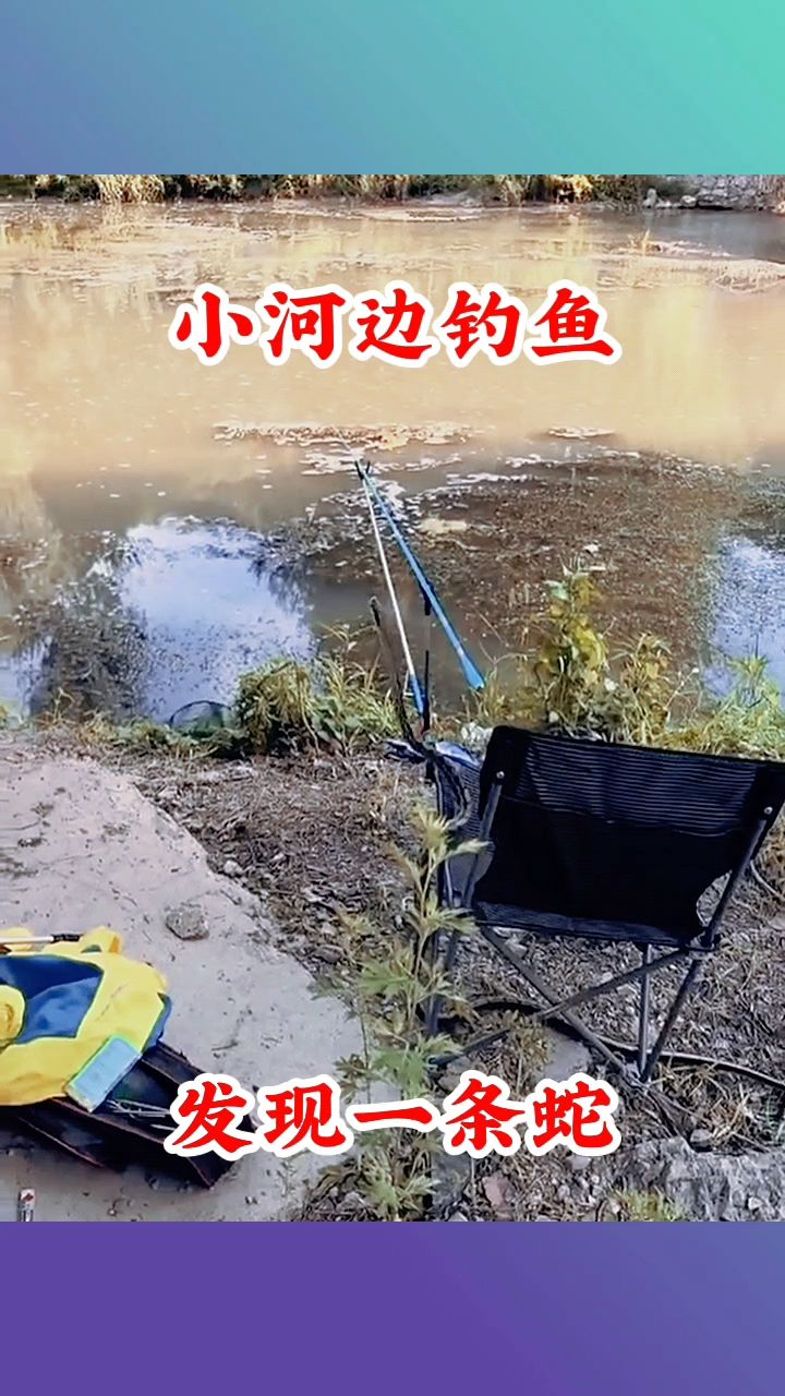 小河边钓鱼,发现一条蛇!