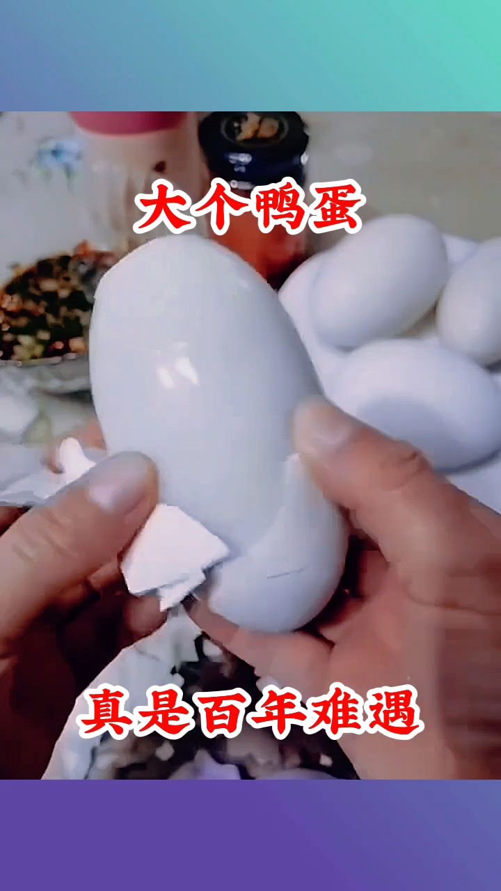 大个鸭蛋,真是百年难遇!