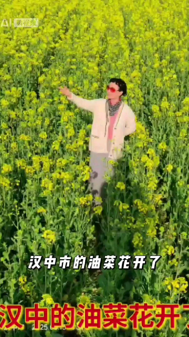 汉中市的油菜花开了