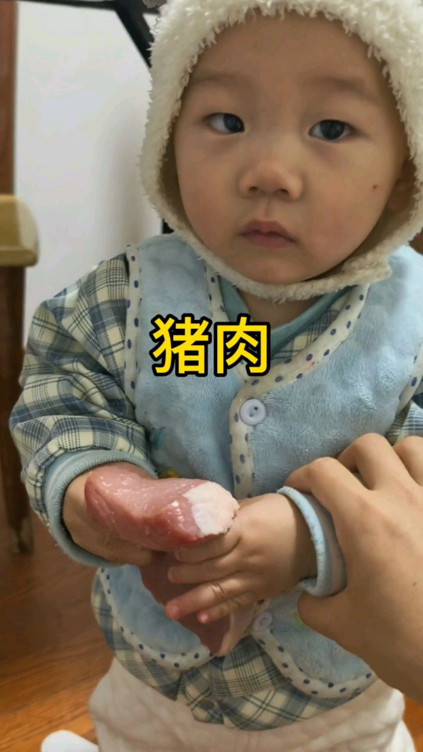 今天学猪肉的英语