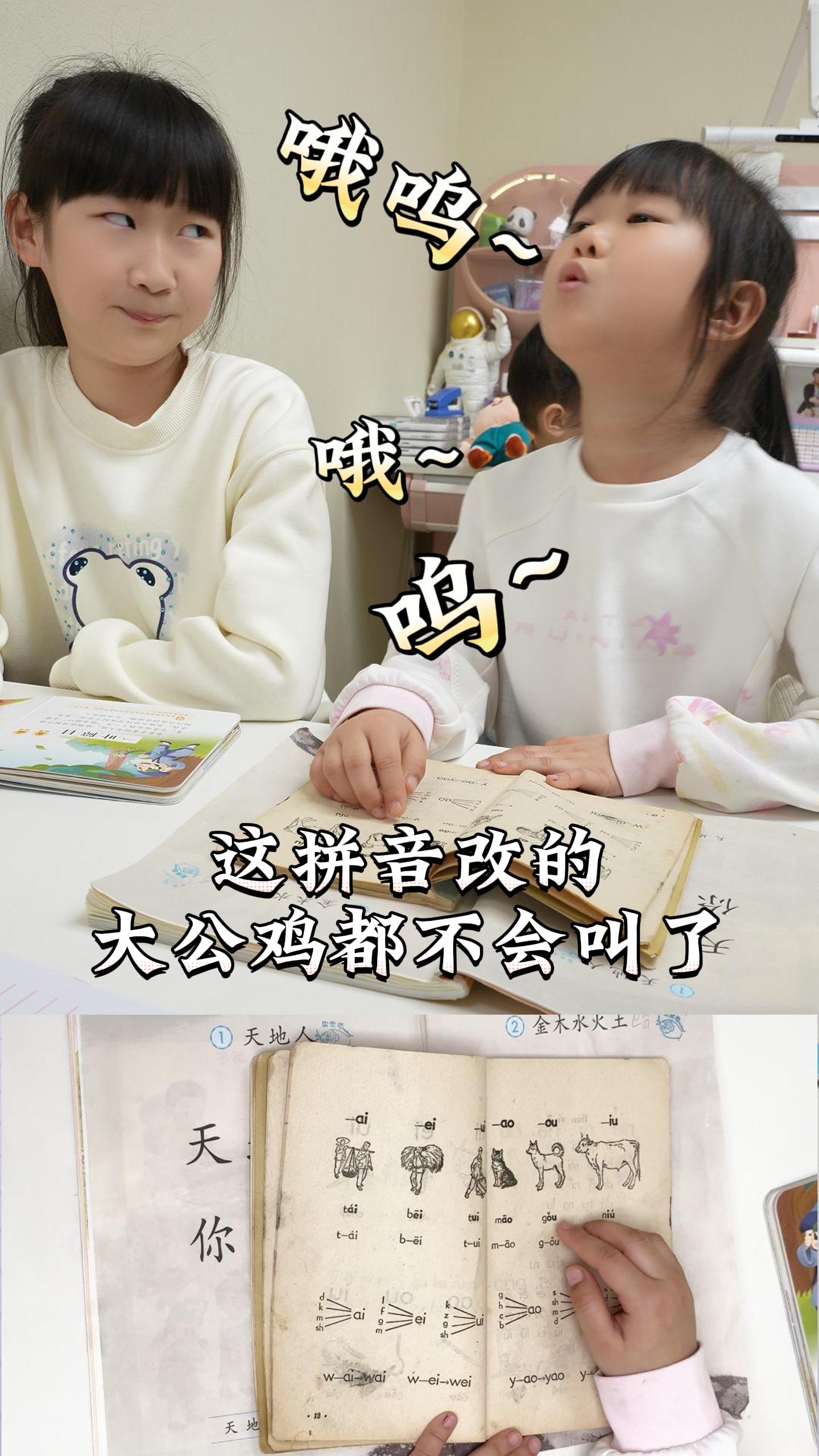 这拼音改的,大公鸡都不会叫了