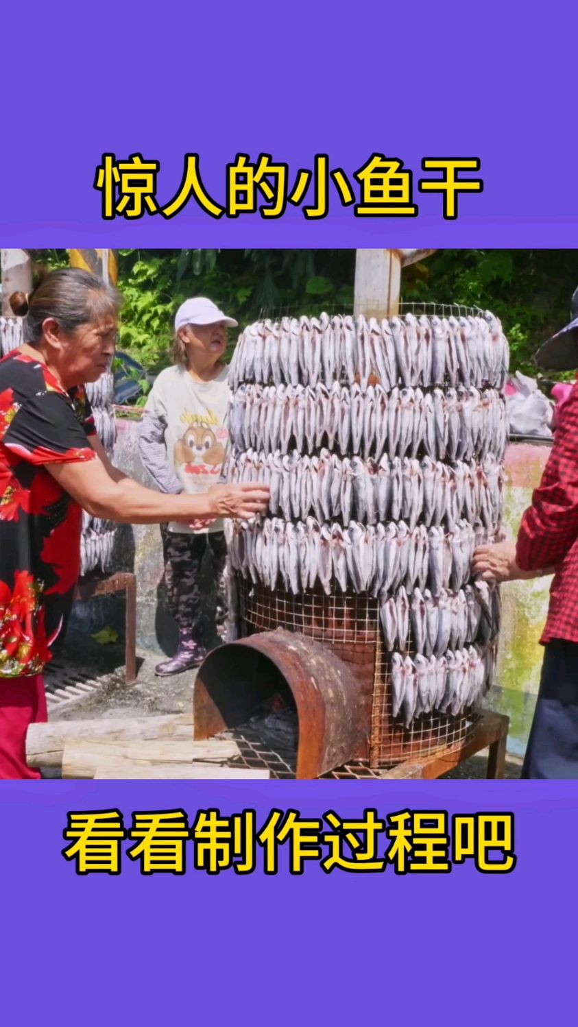 惊人的小鱼干制作过程