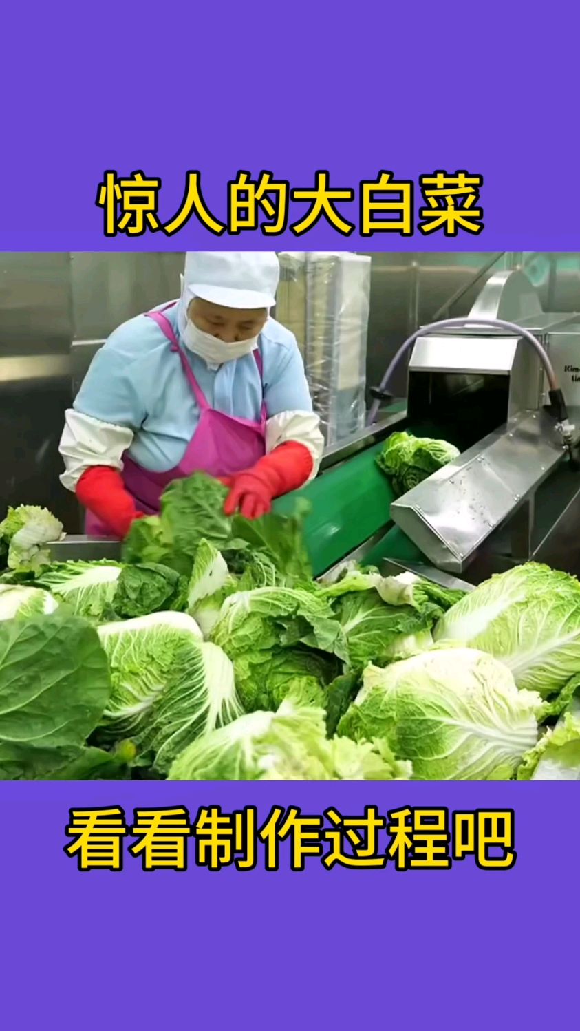 惊人的辣白菜制作过程