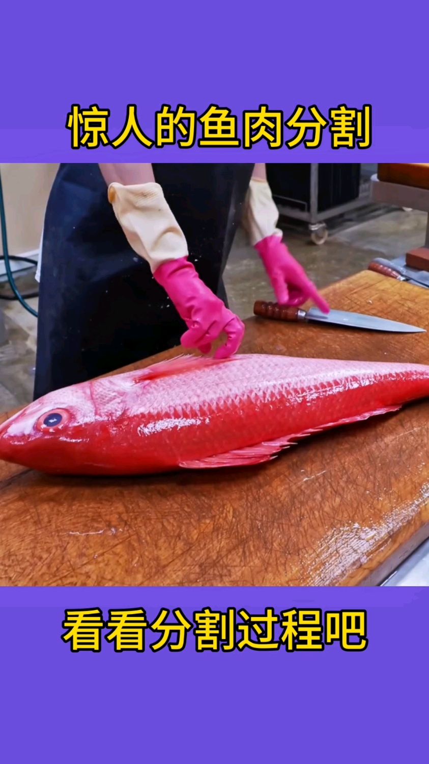 鱼肉分割过程!!