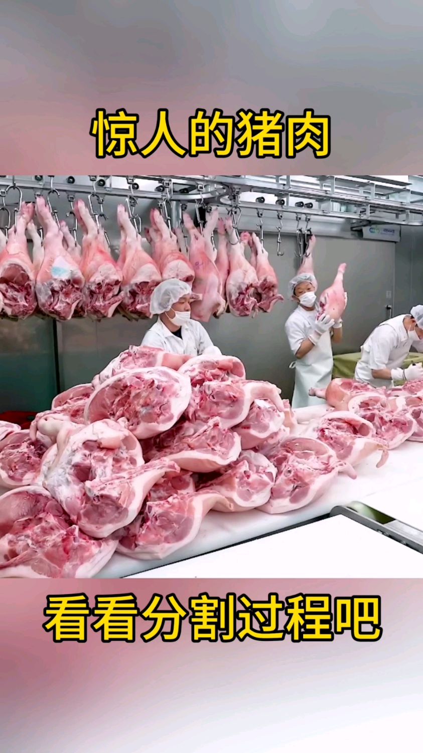 猪肉分解过程!!