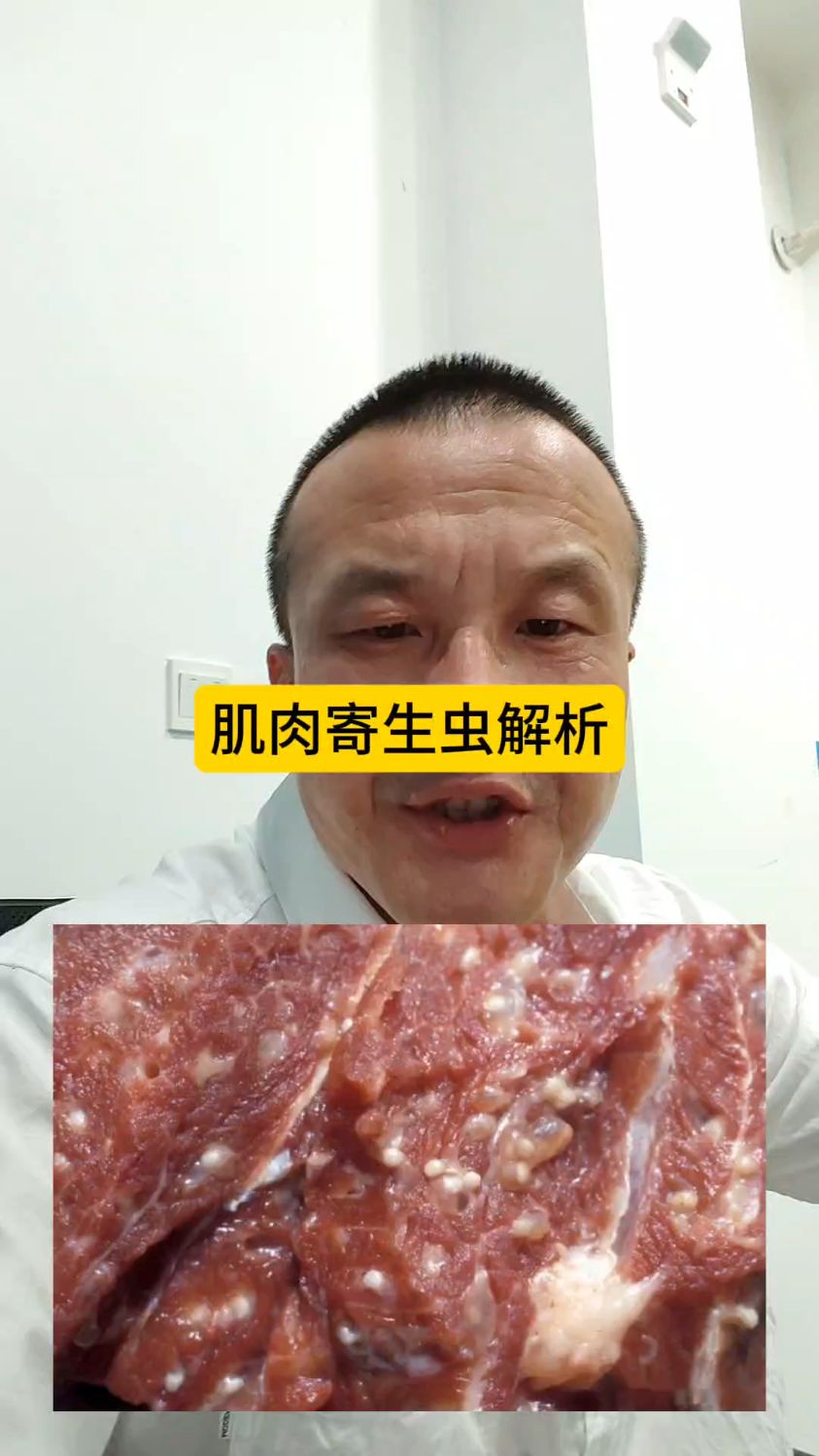 牛羊肌肉里的寄生虫,孕可驱牛羊专用驱虫药