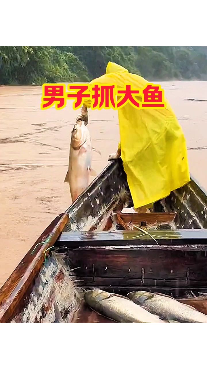 男子抓大鱼,太简单了