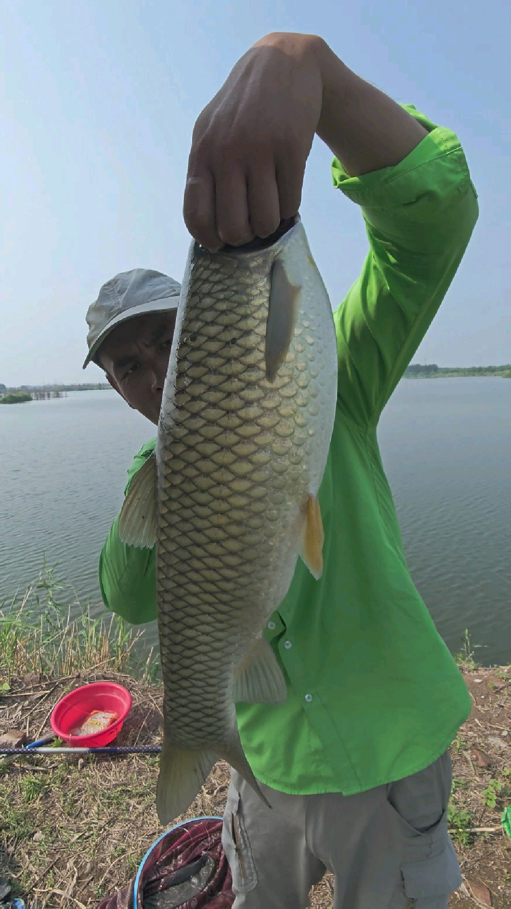 夏日野钓。户外野战大草鱼