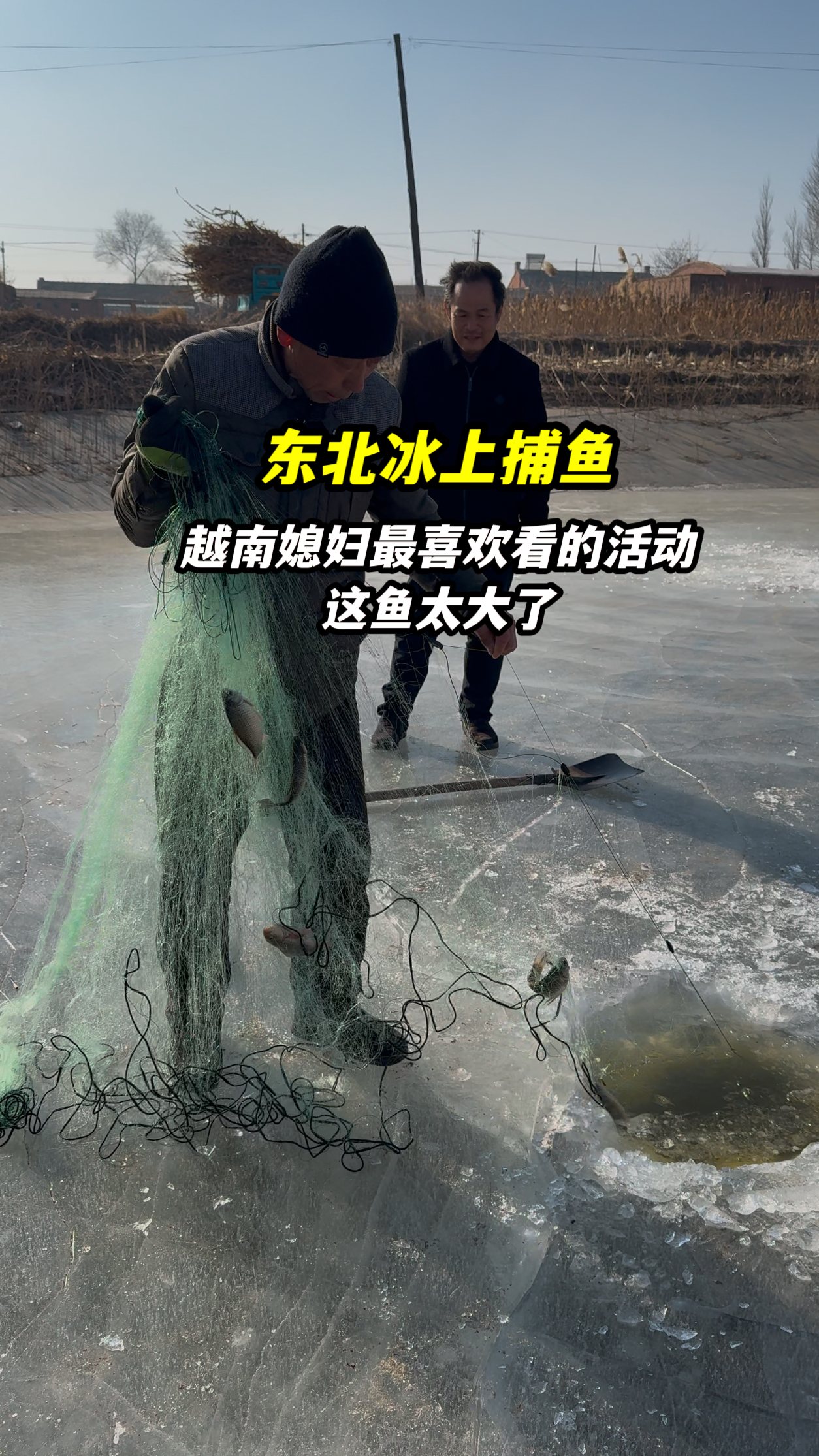 东北的冰上捕鱼见过吗?越南媳妇冬天最喜欢看的活动,这鱼太大了