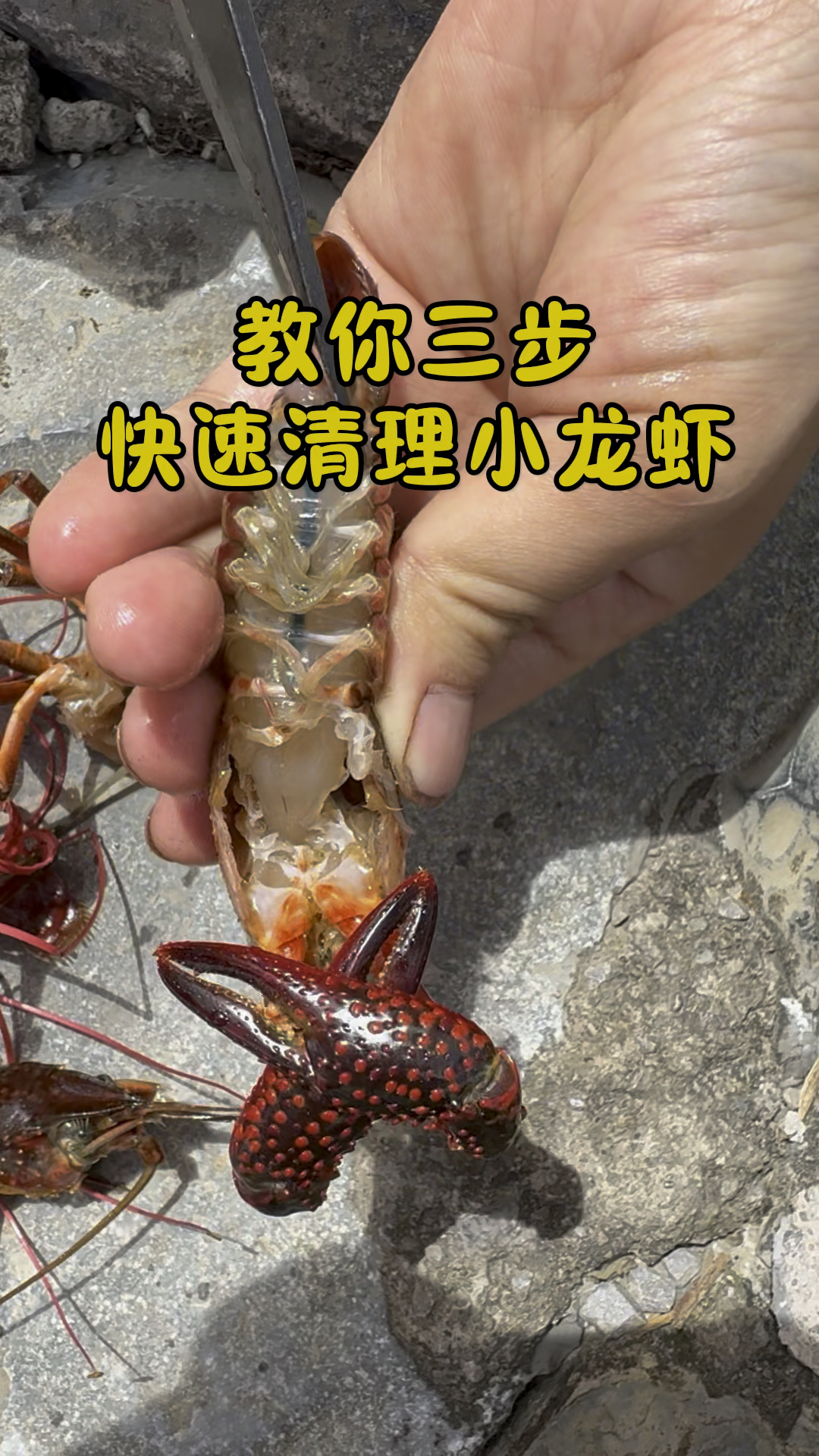 你们都是怎么清理小龙虾的，我是这样清理的#小龙虾 #龙虾季
