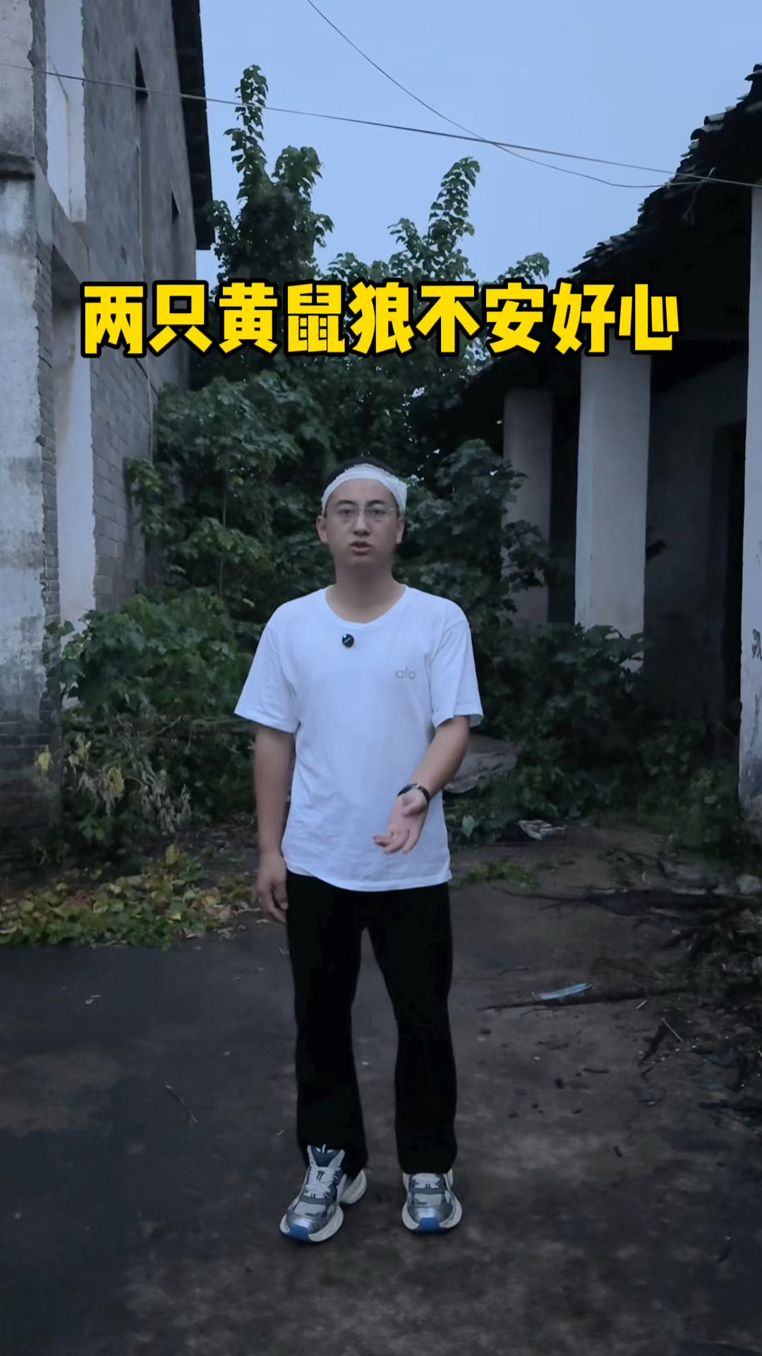 黄鼠狼给鸡拜年,没安好心