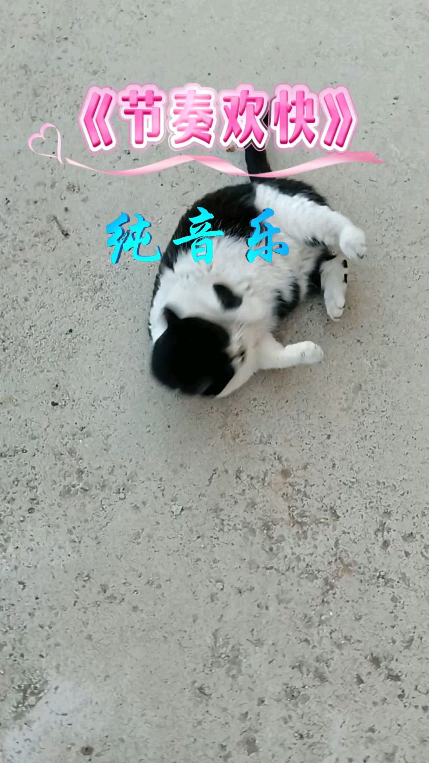 《节奏欢快》纯音乐治愈心灵鸡汤,越听越上瘾