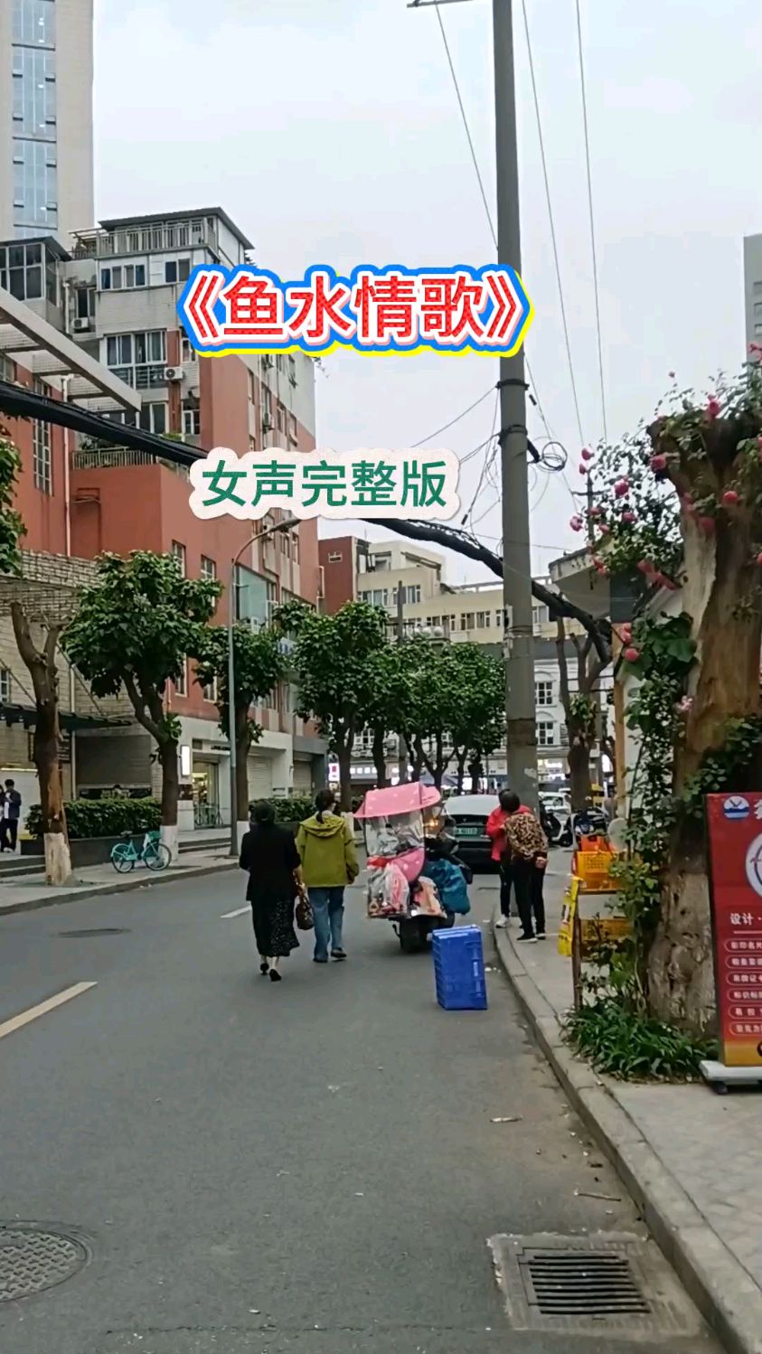 女声完整版《鱼水情歌》伤感歌曲/动听不厌