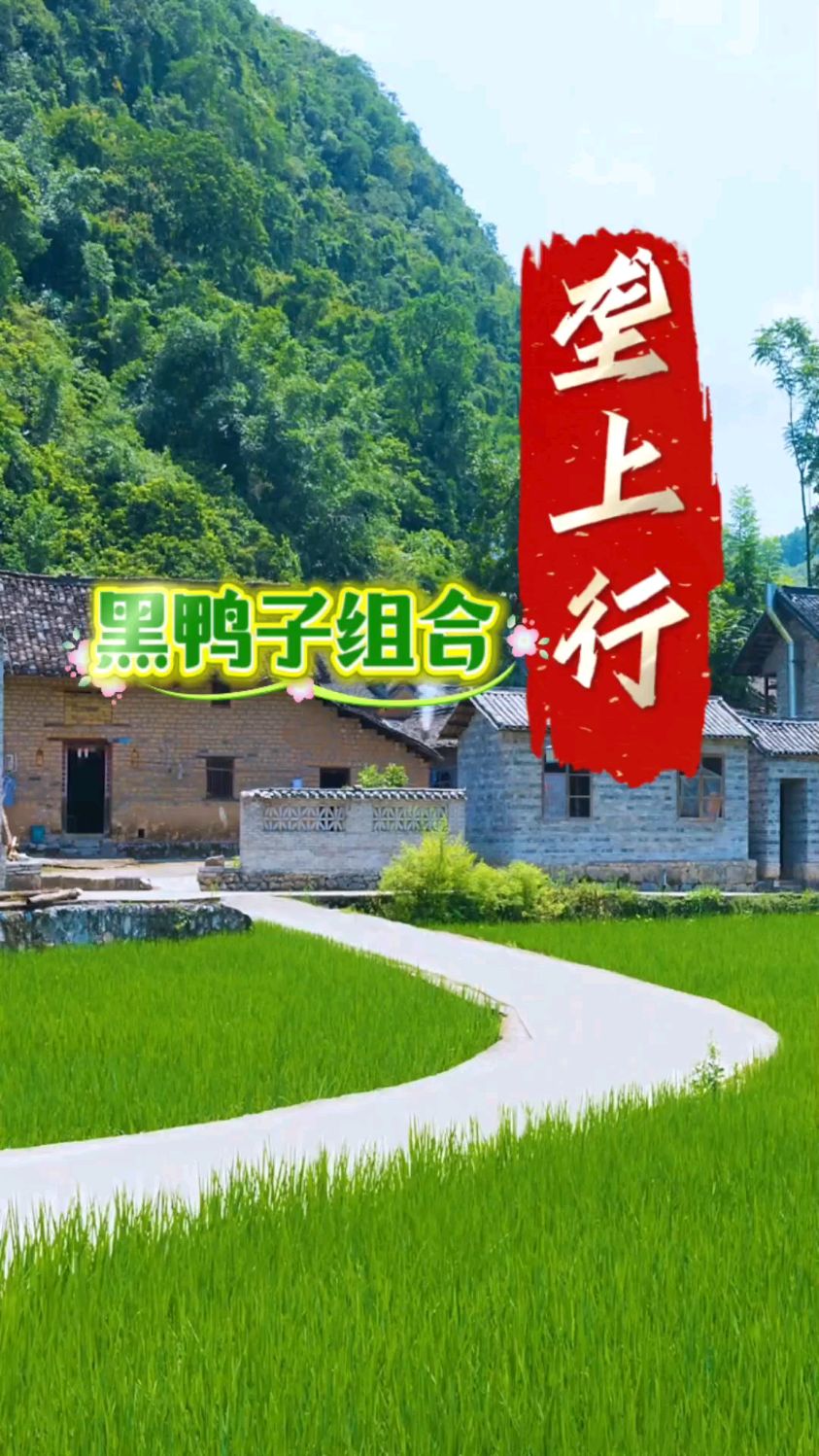 热歌分享,黑鸭子组合演唱《垄上行》优美的旋律,越听越上瘾