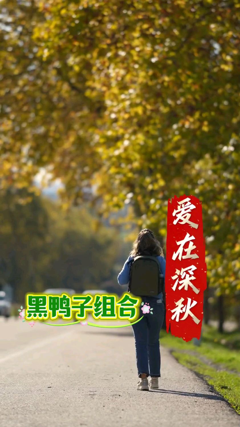 今日分享《爱在深秋》,黑鸭子组合深情版,歌声飘过来,瞬间拉满